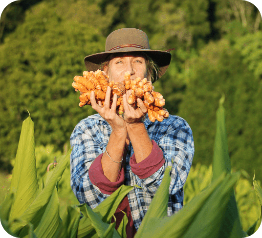 Three Springs Farm’s Turmeric Liquid Extract is made with the high quality turmeric grown in the Australian farm